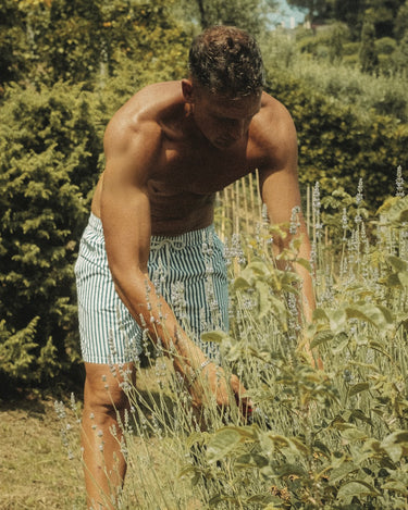 STRIPED SWIM SHORTS